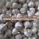 white garlic 5cm